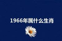 1966年 生肖|1966年属什么生肖